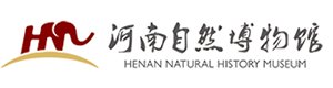 工作时段,一对一在线支持