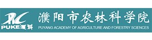 在不同刘伯温免费资料大全770878